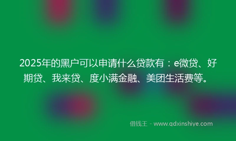 2025年的黑户可以申请什么贷款有：e微贷、好期贷、我来贷、度小满金融、美团生活费等。