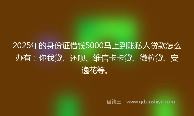 2025年的身份证借钱5000马上到账私人贷款怎么办有：你我贷、还呗、维信卡卡贷、微粒贷、安逸花等。