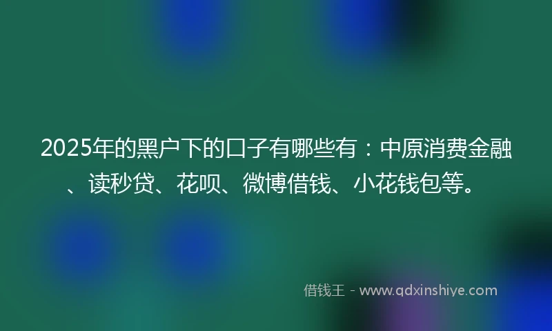 2025年的黑户下的口子有哪些有：中原消费金融、读秒贷、花呗、微博借钱、小花钱包等。