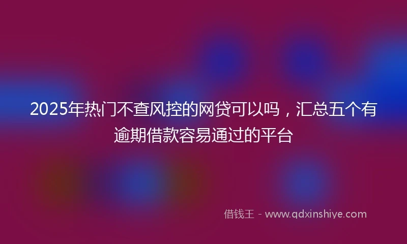 2025年热门不查风控的网贷可以吗，汇总五个有逾期借款容易通过的平台