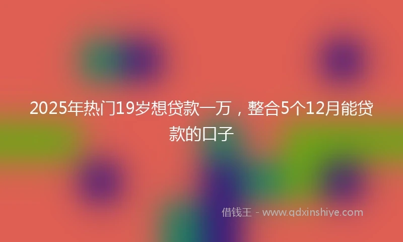 2025年热门19岁想贷款一万，整合5个12月能贷款的口子