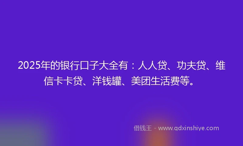 2025年的银行口子大全有：人人贷、功夫贷、维信卡卡贷、洋钱罐、美团生活费等。