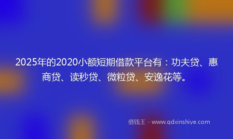 2025年的2020小额短期借款平台有：功夫贷、惠商贷、读秒贷、微粒贷、安逸花等。