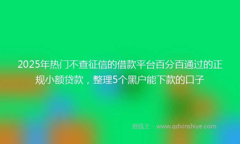 2025年热门不查征信的借款平台百分百通过的正规小额贷款，整理5个黑户能下款的口子