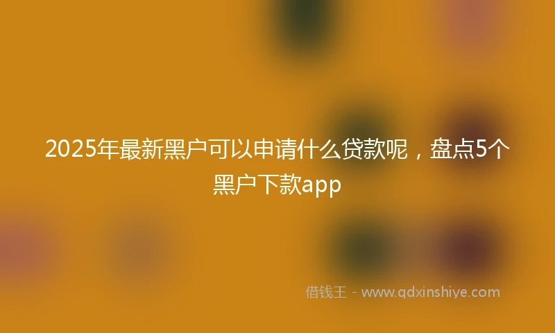 2025年最新黑户可以申请什么贷款呢，盘点5个黑户下款app