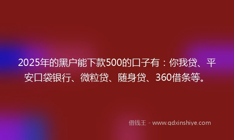 2025年的黑户能下款500的口子有：你我贷、平安口袋银行、微粒贷、随身贷、360借条等。