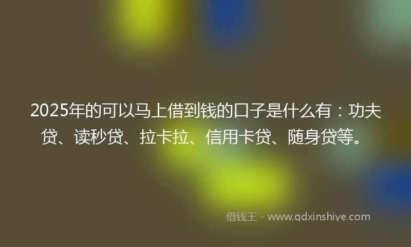 2025年的可以马上借到钱的口子是什么有：功夫贷、读秒贷、拉卡拉、信用卡贷、随身贷等。