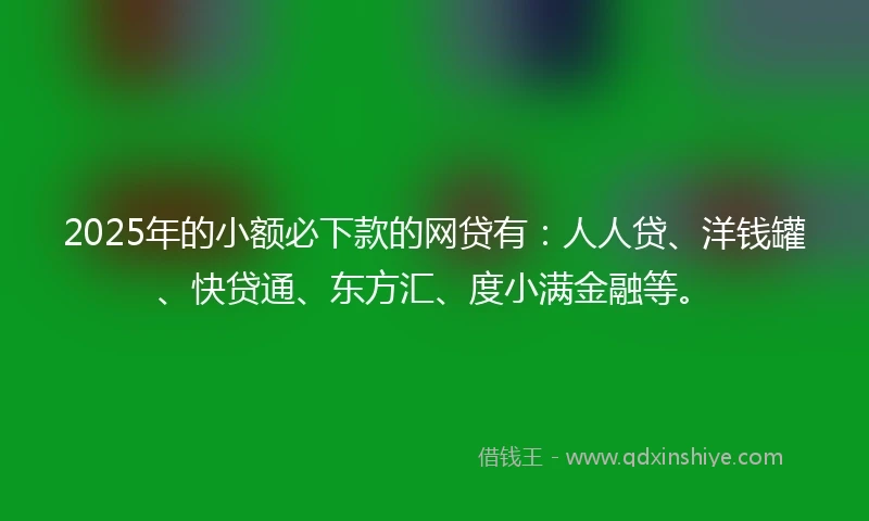 2025年的小额必下款的网贷有：人人贷、洋钱罐、快贷通、东方汇、度小满金融等。