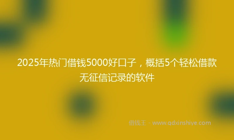 2025年热门借钱5000好口子，概括5个轻松借款无征信记录的软件