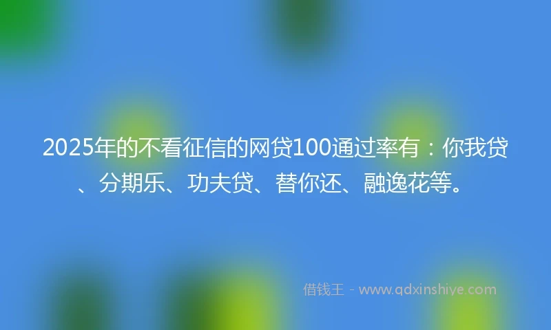 2025年的不看征信的网贷100通过率有：你我贷、分期乐、功夫贷、替你还、融逸花等。