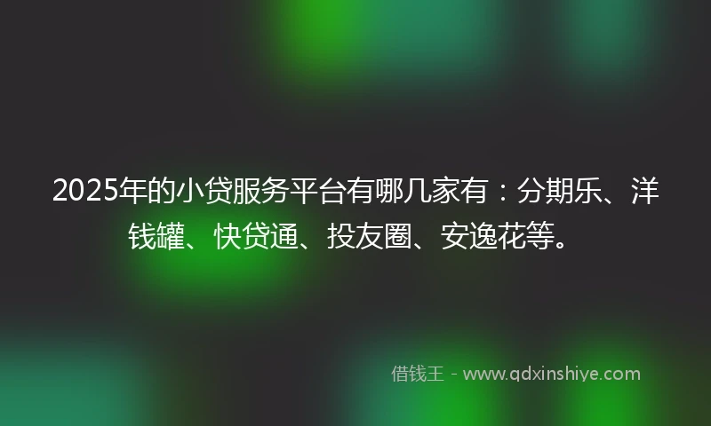 2025年的小贷服务平台有哪几家有：分期乐、洋钱罐、快贷通、投友圈、安逸花等。