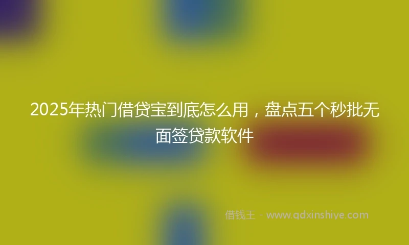2025年热门借贷宝到底怎么用，盘点五个秒批无面签贷款软件