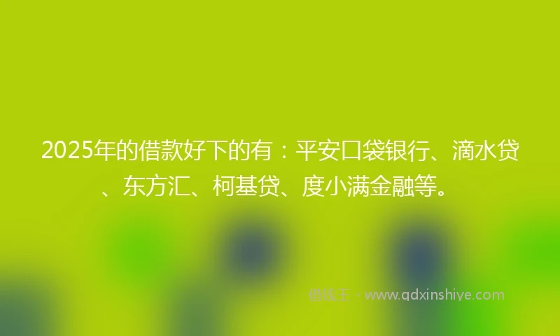 2025年的借款好下的有：平安口袋银行、滴水贷、东方汇、柯基贷、度小满金融等。