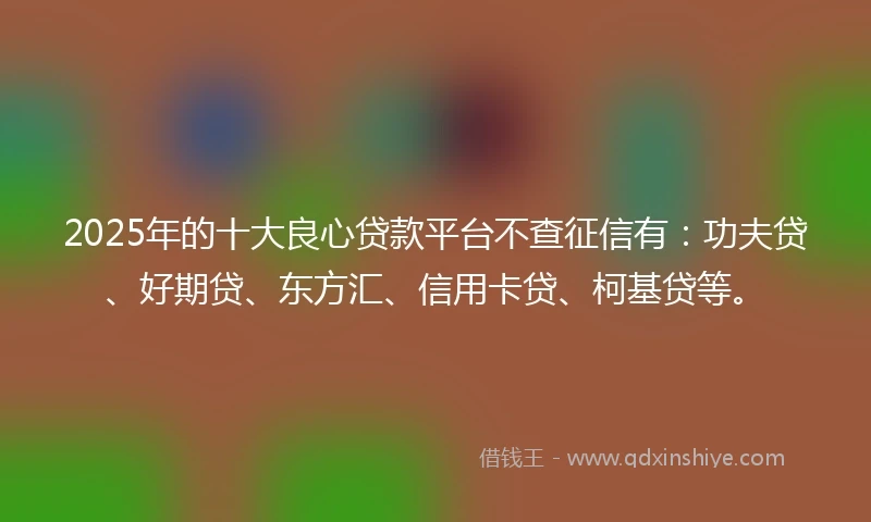 2025年的十大良心贷款平台不查征信有：功夫贷、好期贷、东方汇、信用卡贷、柯基贷等。