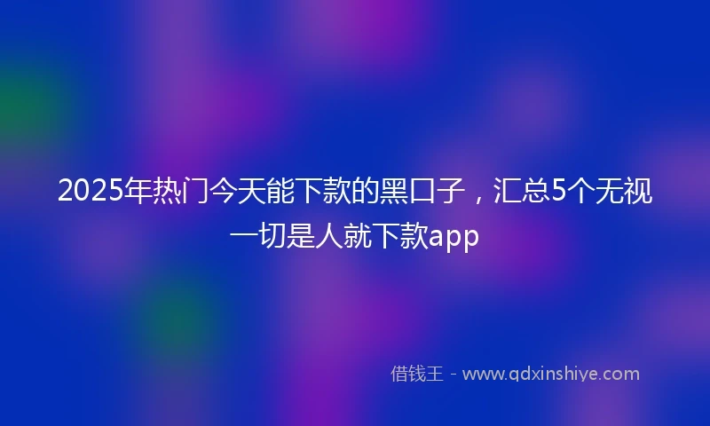 2025年热门今天能下款的黑口子，汇总5个无视一切是人就下款app
