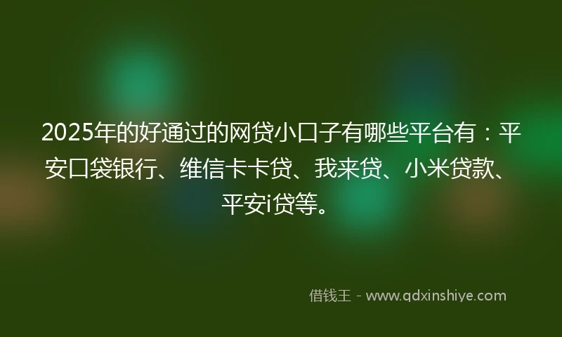 2025年的好通过的网贷小口子有哪些平台有：平安口袋银行、维信卡卡贷、我来贷、小米贷款、平安i贷等。