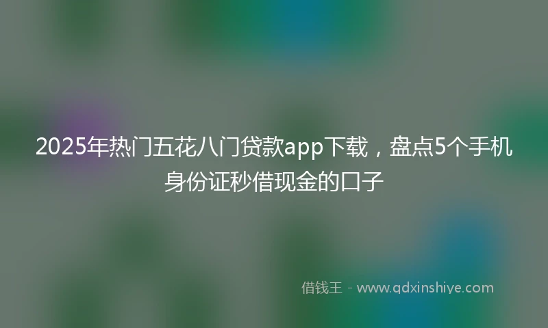 2025年热门五花八门贷款app下载，盘点5个手机身份证秒借现金的口子