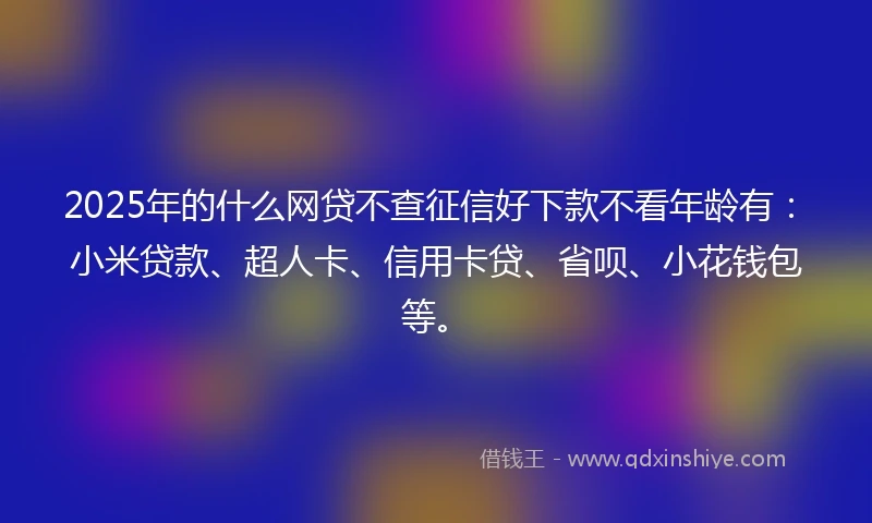 2025年的什么网贷不查征信好下款不看年龄有：小米贷款、超人卡、信用卡贷、省呗、小花钱包等。