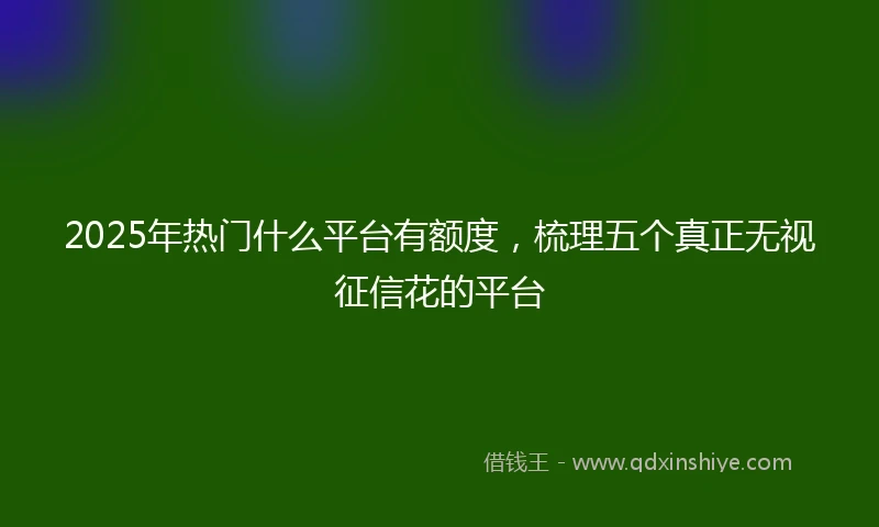 2025年热门什么平台有额度，梳理五个真正无视征信花的平台