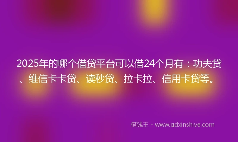 2025年的哪个借贷平台可以借24个月有：功夫贷、维信卡卡贷、读秒贷、拉卡拉、信用卡贷等。