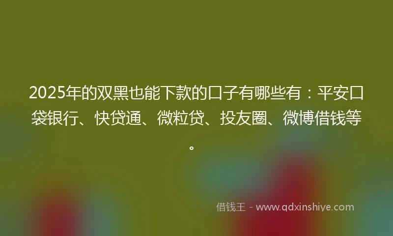 2025年的双黑也能下款的口子有哪些有：平安口袋银行、快贷通、微粒贷、投友圈、微博借钱等。