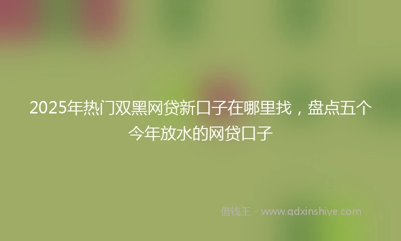 2025年热门双黑网贷新口子在哪里找，盘点五个今年放水的网贷口子
