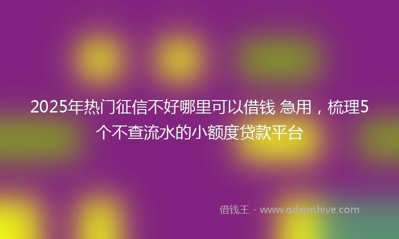 2025年热门征信不好哪里可以借钱 急用，梳理5个不查流水的小额度贷款平台