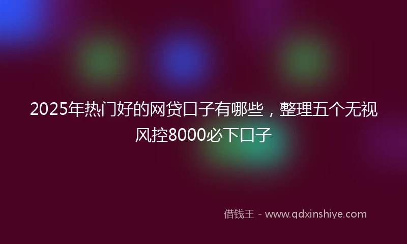 2025年热门好的网贷口子有哪些，整理五个无视风控8000必下口子