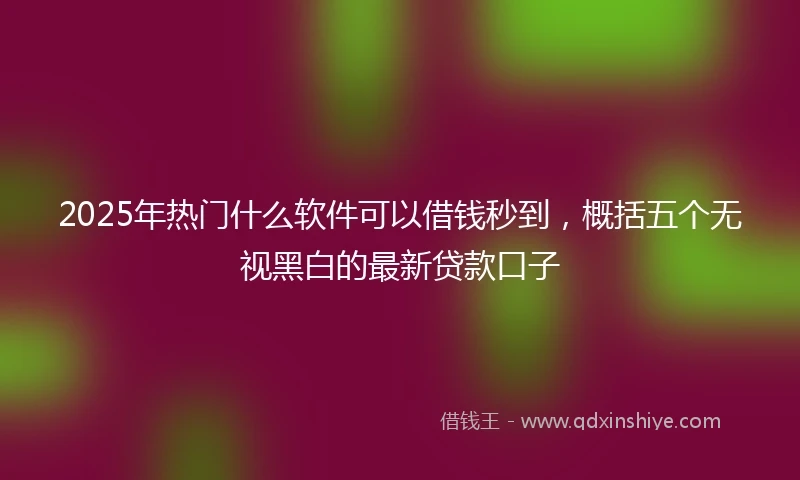 2025年热门什么软件可以借钱秒到，概括五个无视黑白的最新贷款口子