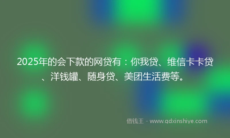 2025年的会下款的网贷有：你我贷、维信卡卡贷、洋钱罐、随身贷、美团生活费等。