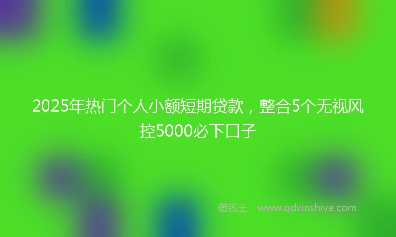 2025年热门个人小额短期贷款，整合5个无视风控5000必下口子