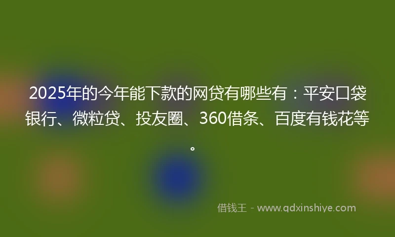 2025年的今年能下款的网贷有哪些有：平安口袋银行、微粒贷、投友圈、360借条、百度有钱花等。