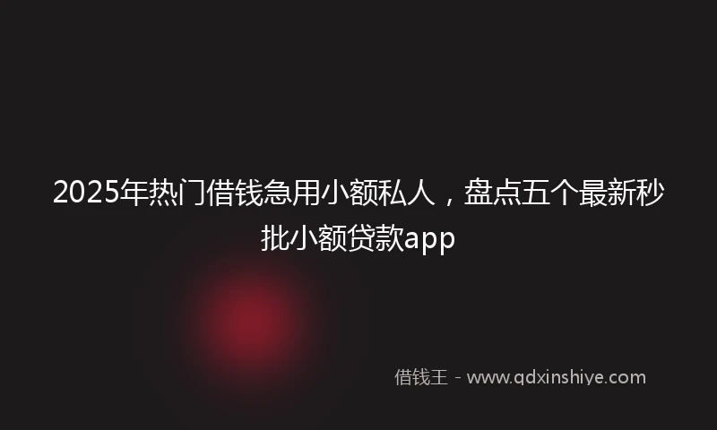 2025年热门借钱急用小额私人，盘点五个最新秒批小额贷款app
