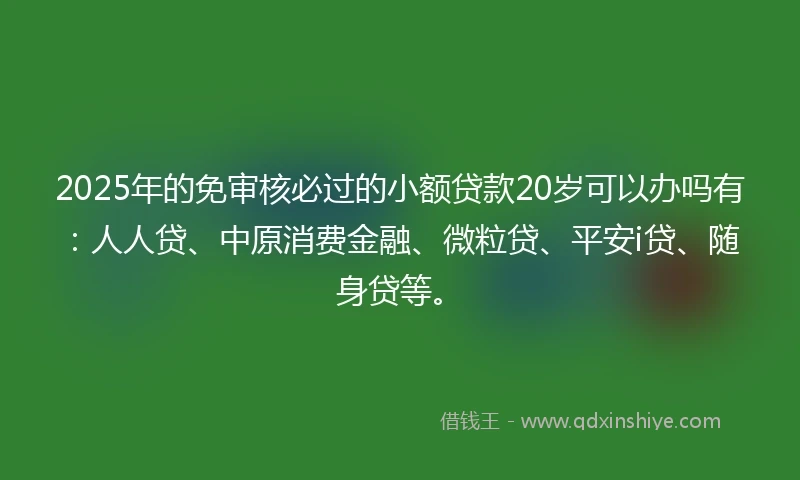 2025年的免审核必过的小额贷款20岁可以办吗有：人人贷、中原消费金融、微粒贷、平安i贷、随身贷等。