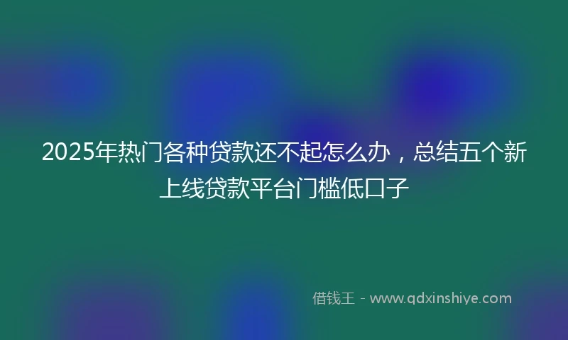 2025年热门各种贷款还不起怎么办，总结五个新上线贷款平台门槛低口子