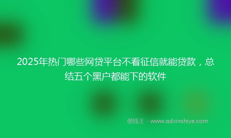 2025年热门哪些网贷平台不看征信就能贷款，总结五个黑户都能下的软件
