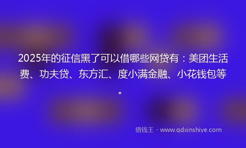2025年的征信黑了可以借哪些网贷有：美团生活费、功夫贷、东方汇、度小满金融、小花钱包等。