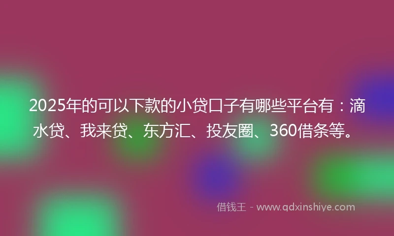 2025年的可以下款的小贷口子有哪些平台有：滴水贷、我来贷、东方汇、投友圈、360借条等。