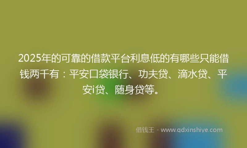 2025年的可靠的借款平台利息低的有哪些只能借钱两千有：平安口袋银行、功夫贷、滴水贷、平安i贷、随身贷等。