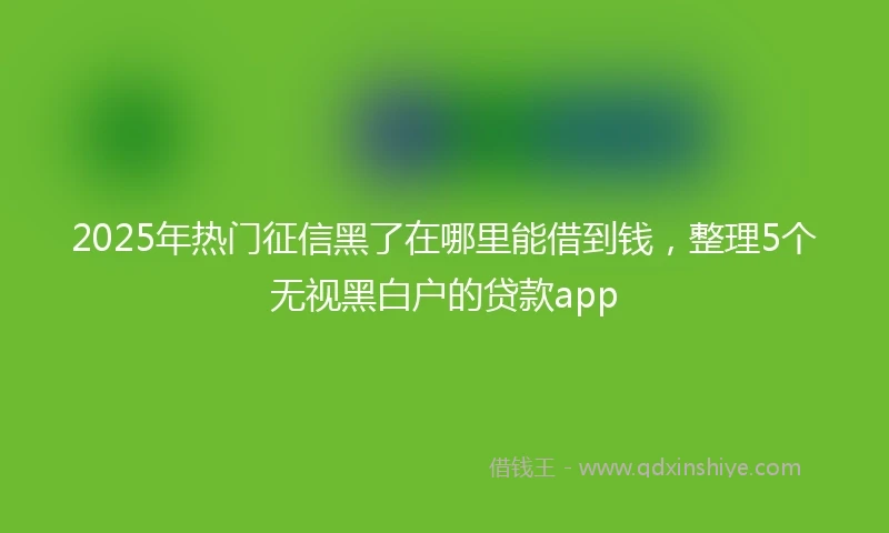 2025年热门征信黑了在哪里能借到钱，整理5个无视黑白户的贷款app