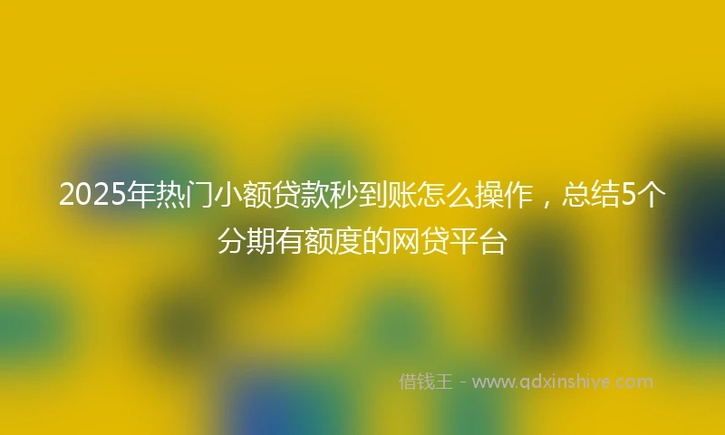 2025年热门小额贷款秒到账怎么操作，总结5个分期有额度的网贷平台