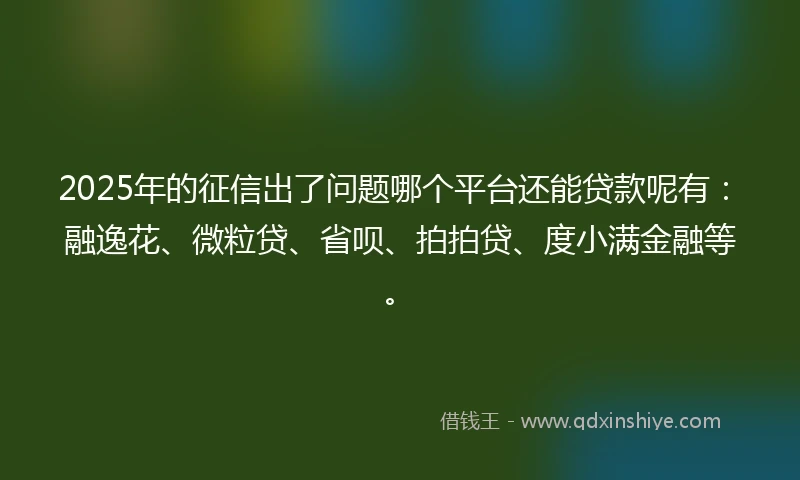 2025年的征信出了问题哪个平台还能贷款呢有：融逸花、微粒贷、省呗、拍拍贷、度小满金融等。