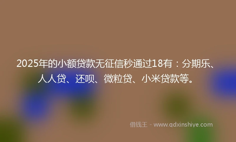 2025年的小额贷款无征信秒通过18有：分期乐、人人贷、还呗、微粒贷、小米贷款等。