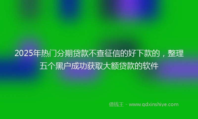 2025年热门分期贷款不查征信的好下款的，整理五个黑户成功获取大额贷款的软件
