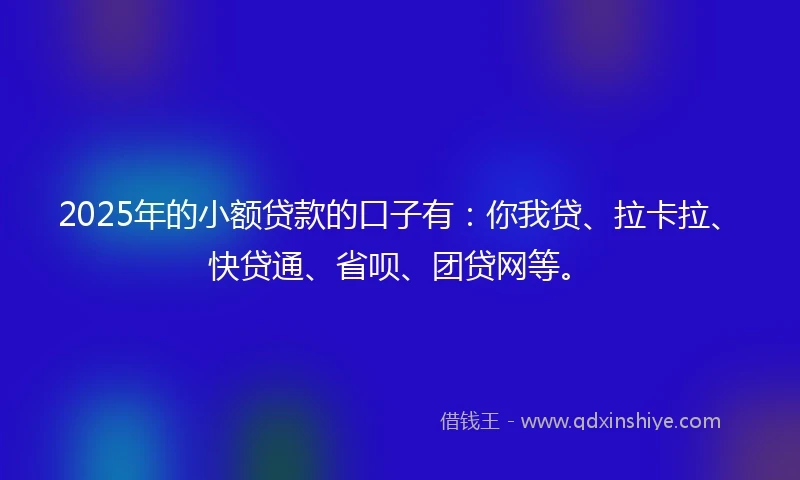 2025年的小额贷款的口子有：你我贷、拉卡拉、快贷通、省呗、团贷网等。