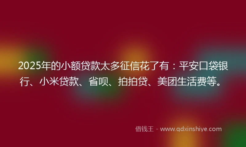 2025年的小额贷款太多征信花了有：平安口袋银行、小米贷款、省呗、拍拍贷、美团生活费等。