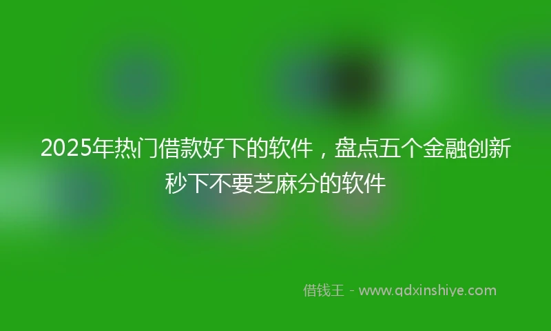 2025年热门借款好下的软件，盘点五个金融创新秒下不要芝麻分的软件