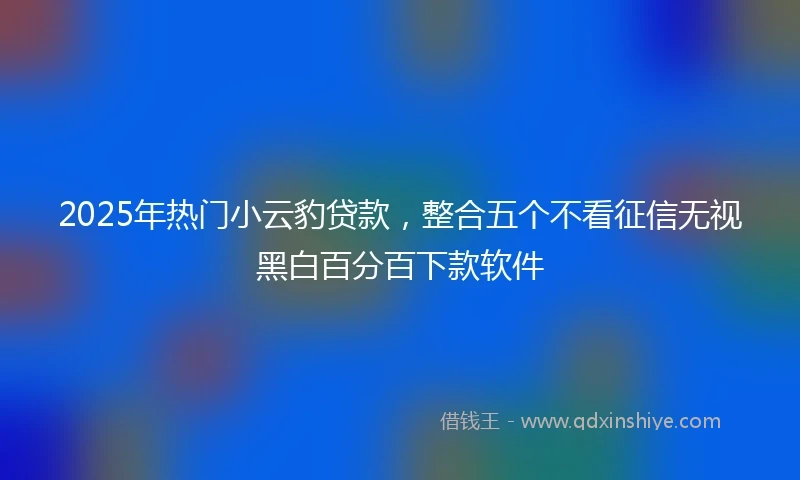 2025年热门小云豹贷款，整合五个不看征信无视黑白百分百下款软件