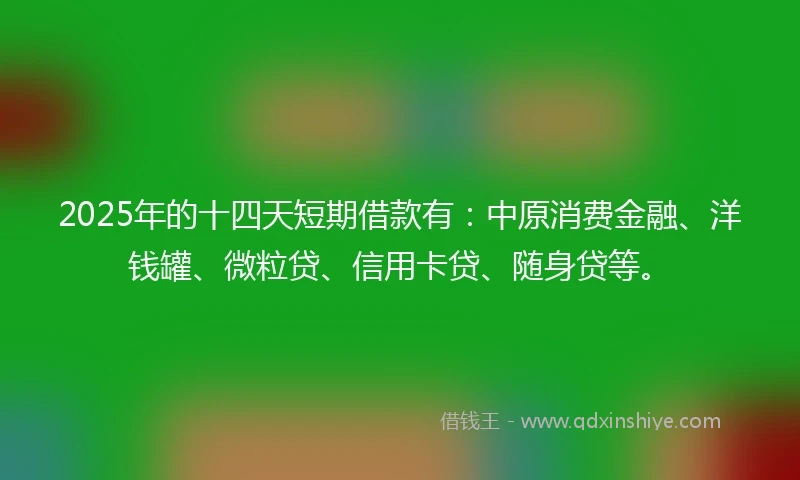 2025年的十四天短期借款有：中原消费金融、洋钱罐、微粒贷、信用卡贷、随身贷等。