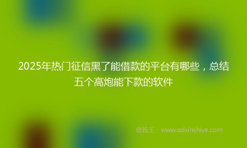 2025年热门征信黑了能借款的平台有哪些，总结五个高炮能下款的软件